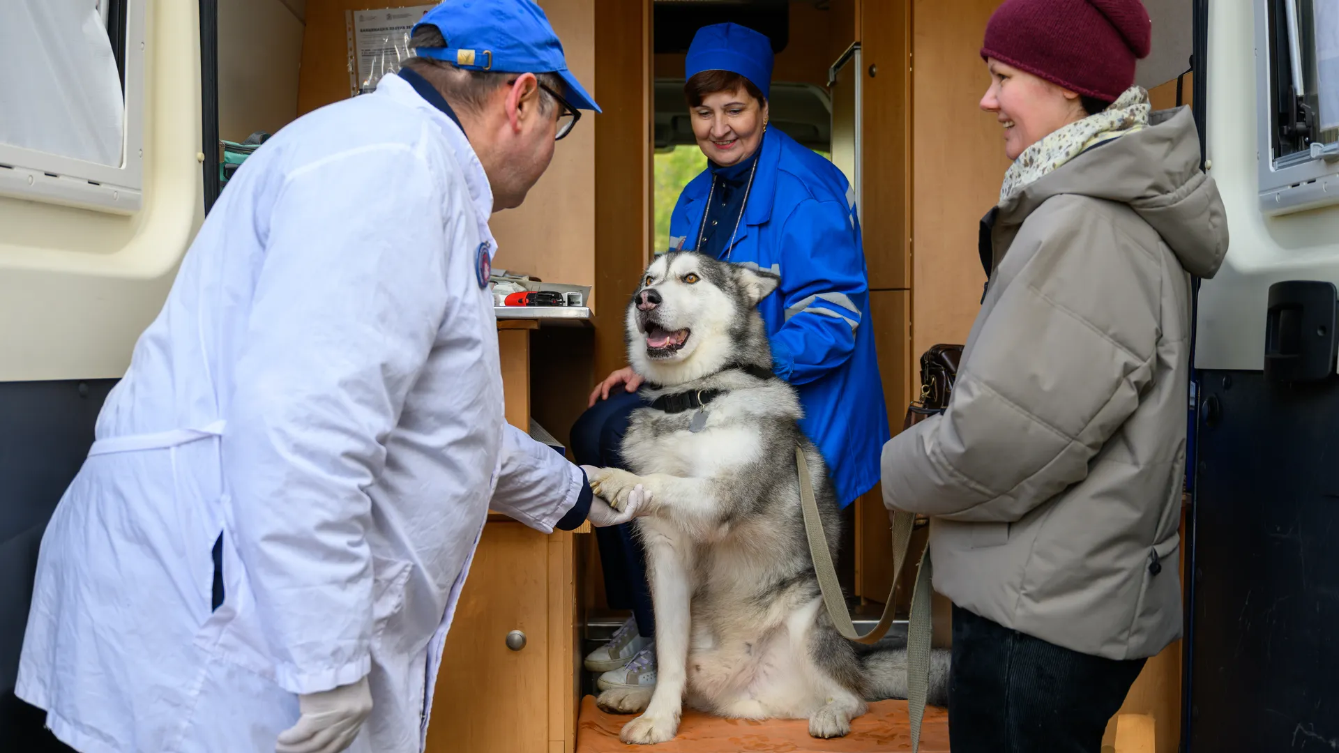 медиасток.рф