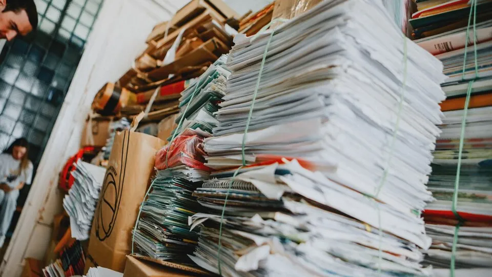 Фото: пресс-служба администрации Орехово-Зуевского округа