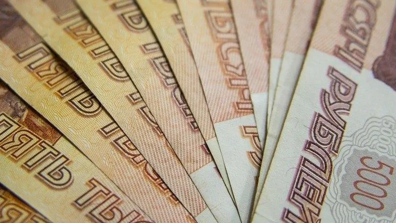 Собственник в Богородском округе возместит шестимиллионный ущерб от незаконной свалки