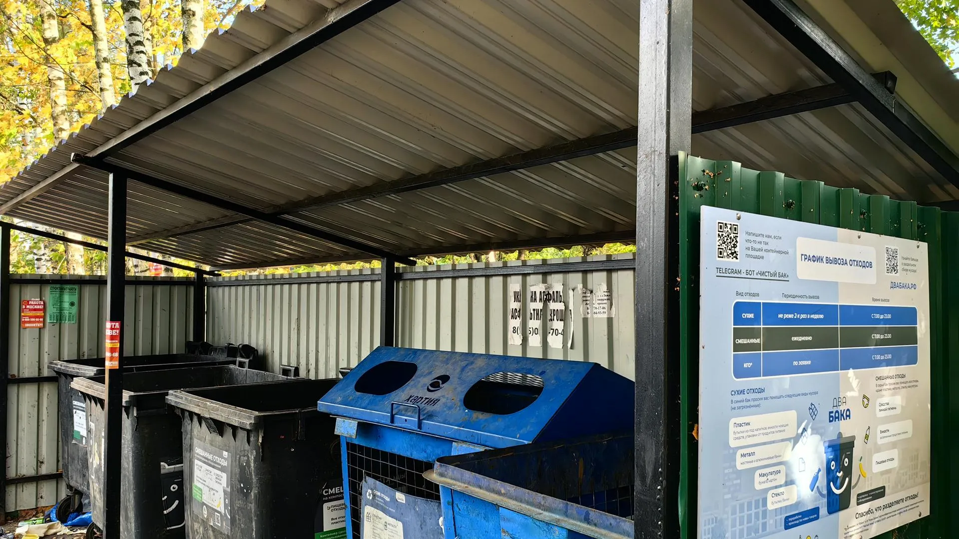 Елена Катасонова