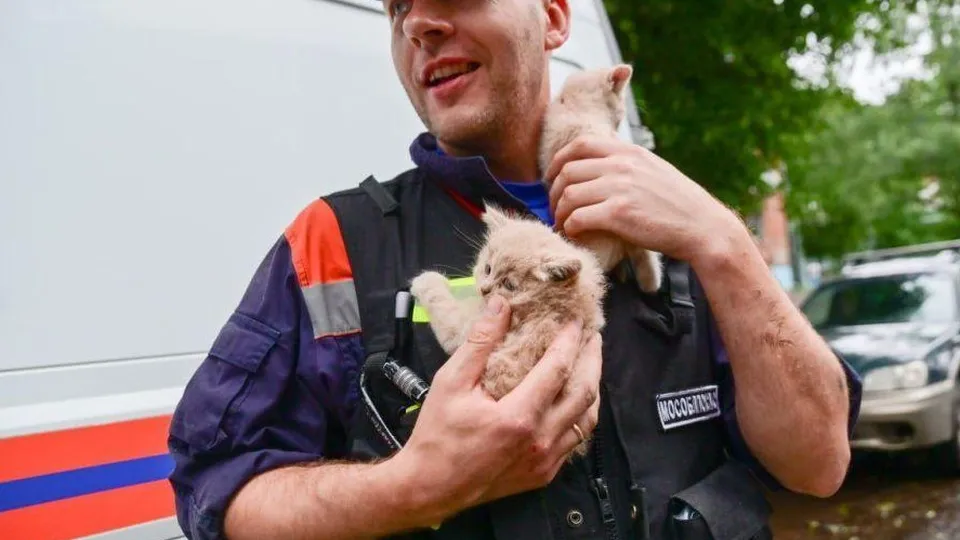 Фото: Светлана Корелина