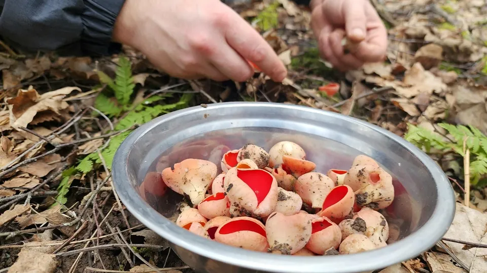 Фото: REGIONS/Мария Панина