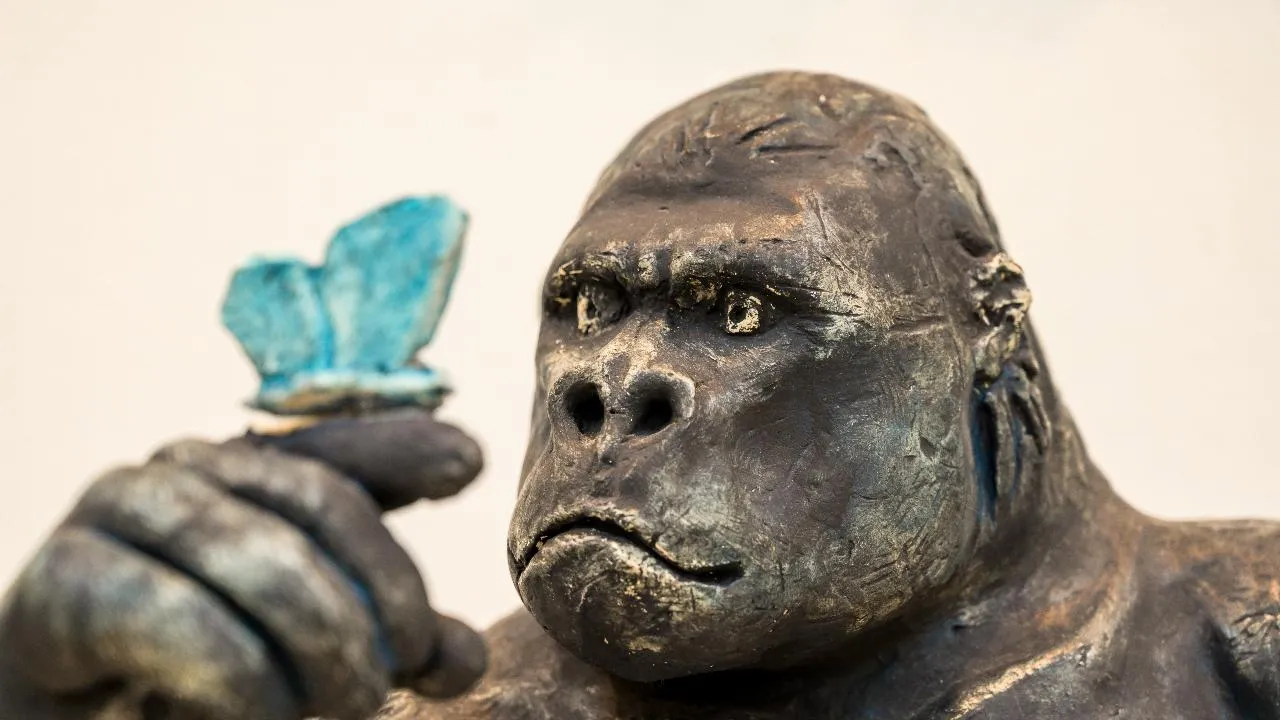 медиасток.рф