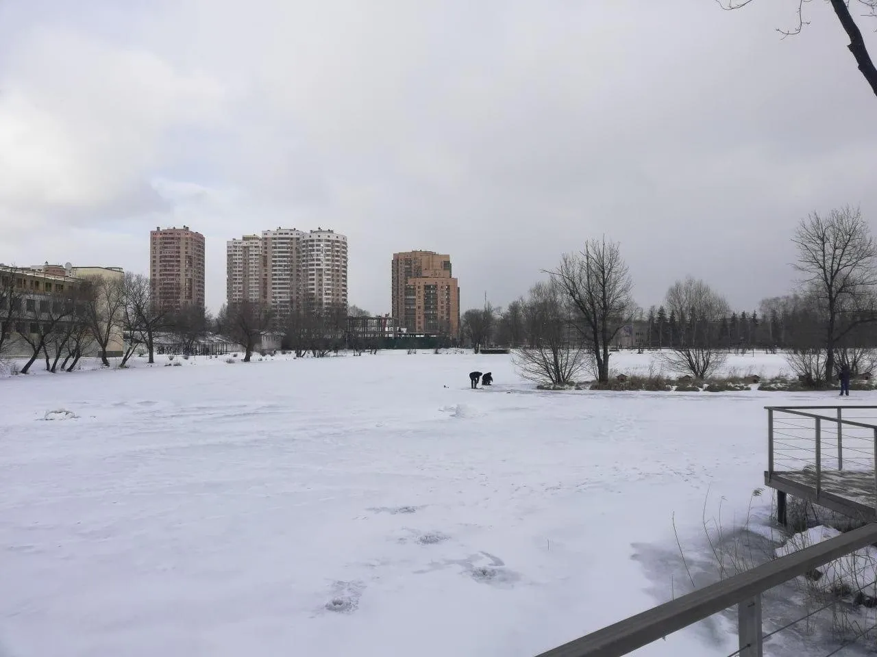 Фото: Дмитрий Кравцов