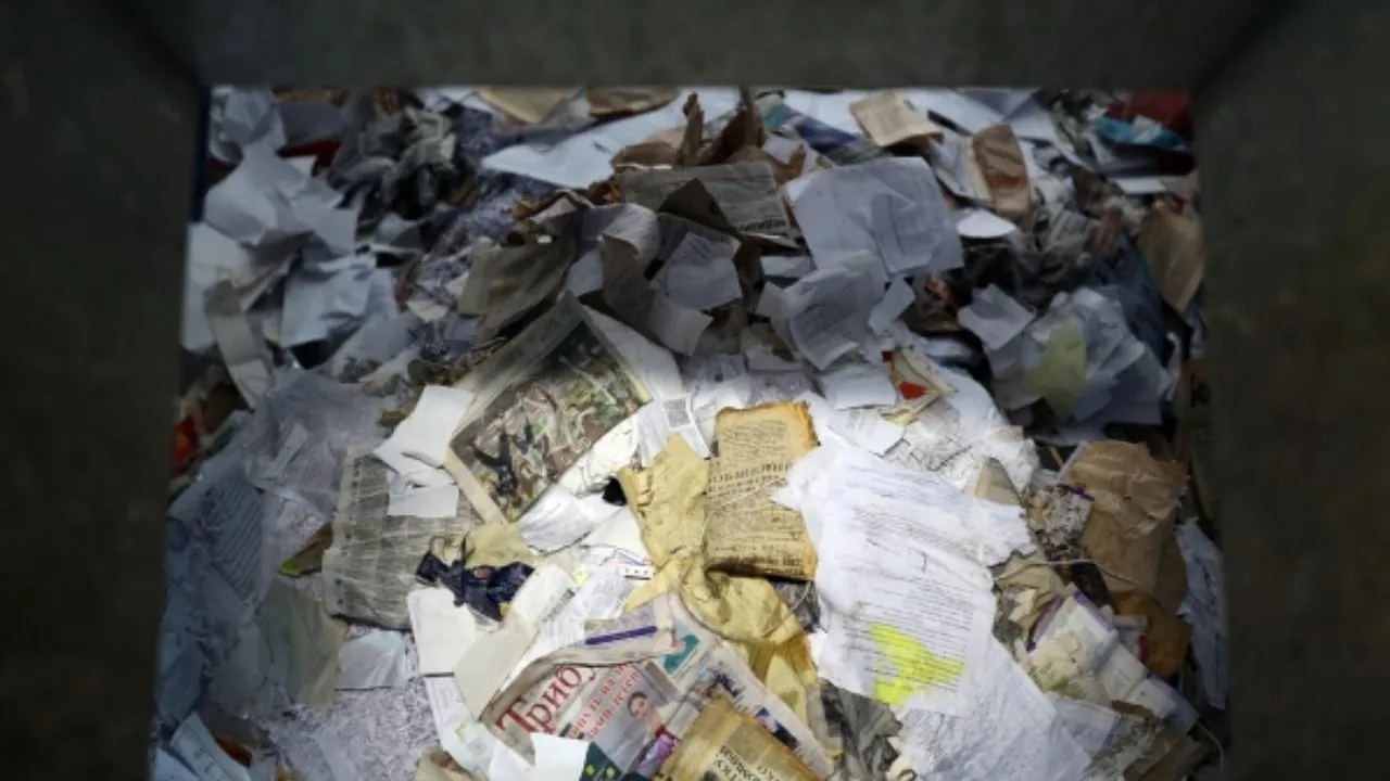 Жители Подмосковья могут принять участие в акции «Миллион – родине»