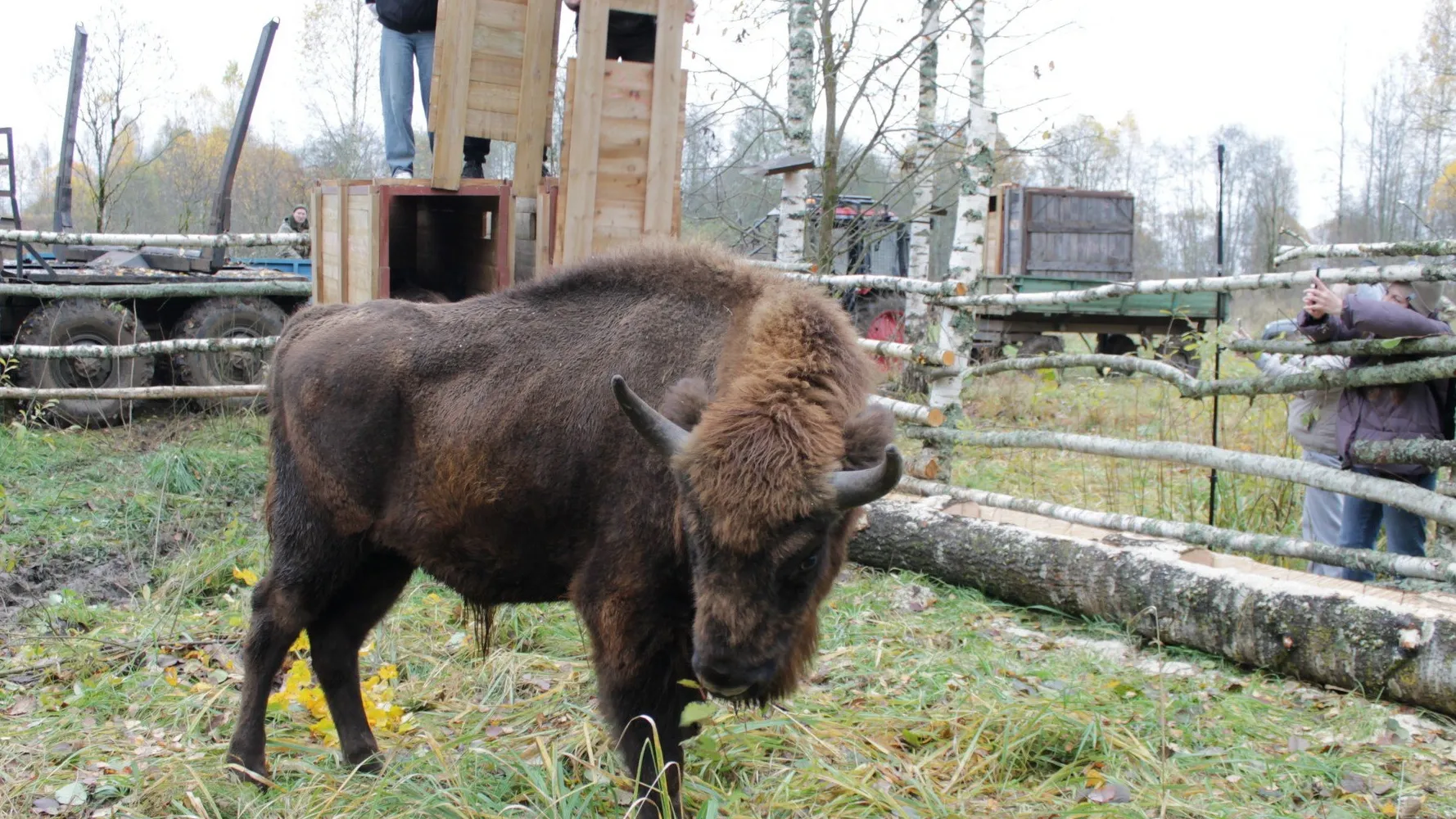 Фото: Приокско-Террасный государственный заповедник