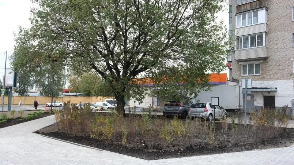Александр Щербаков