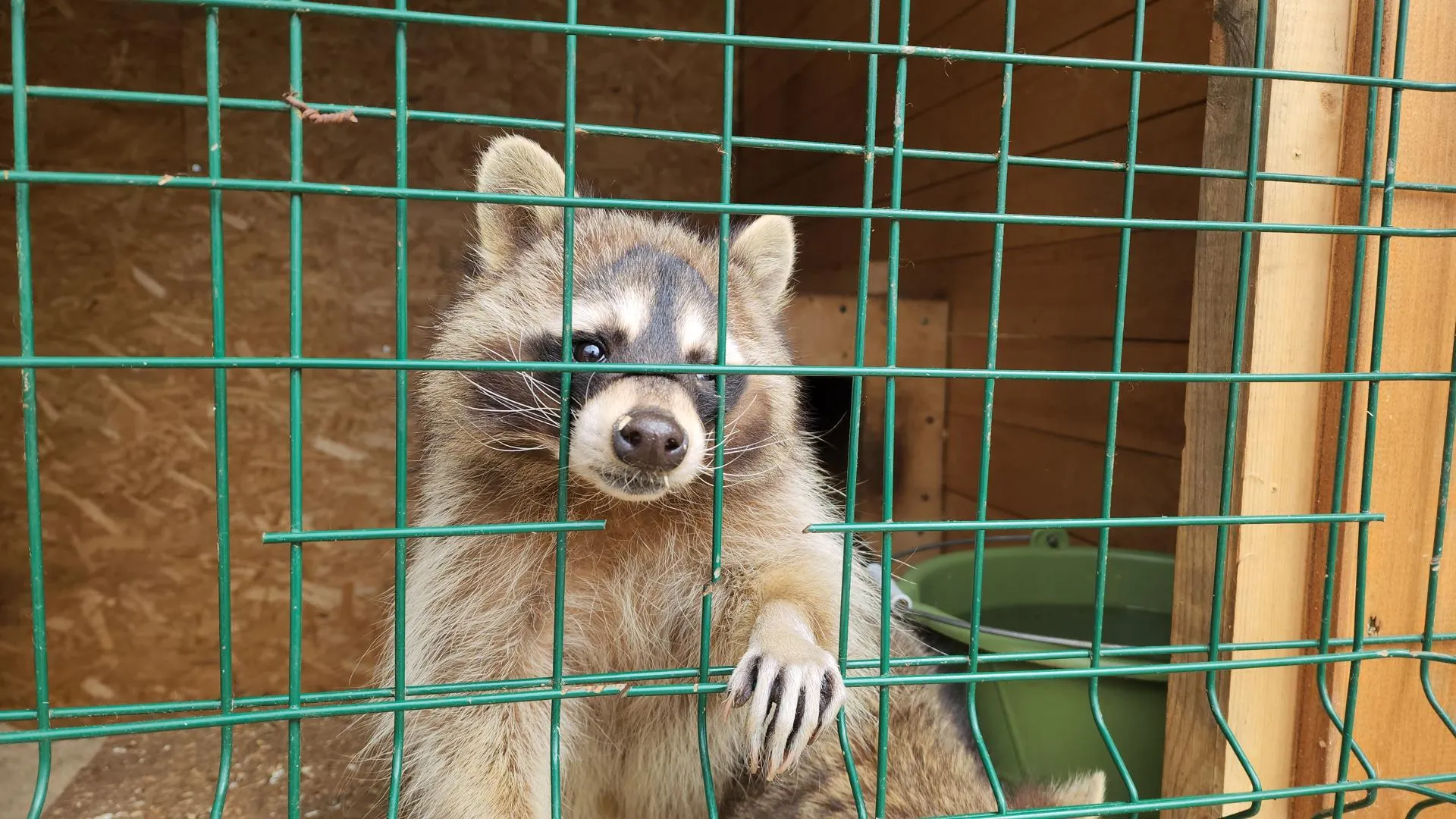 Фото: Артем Мишуков