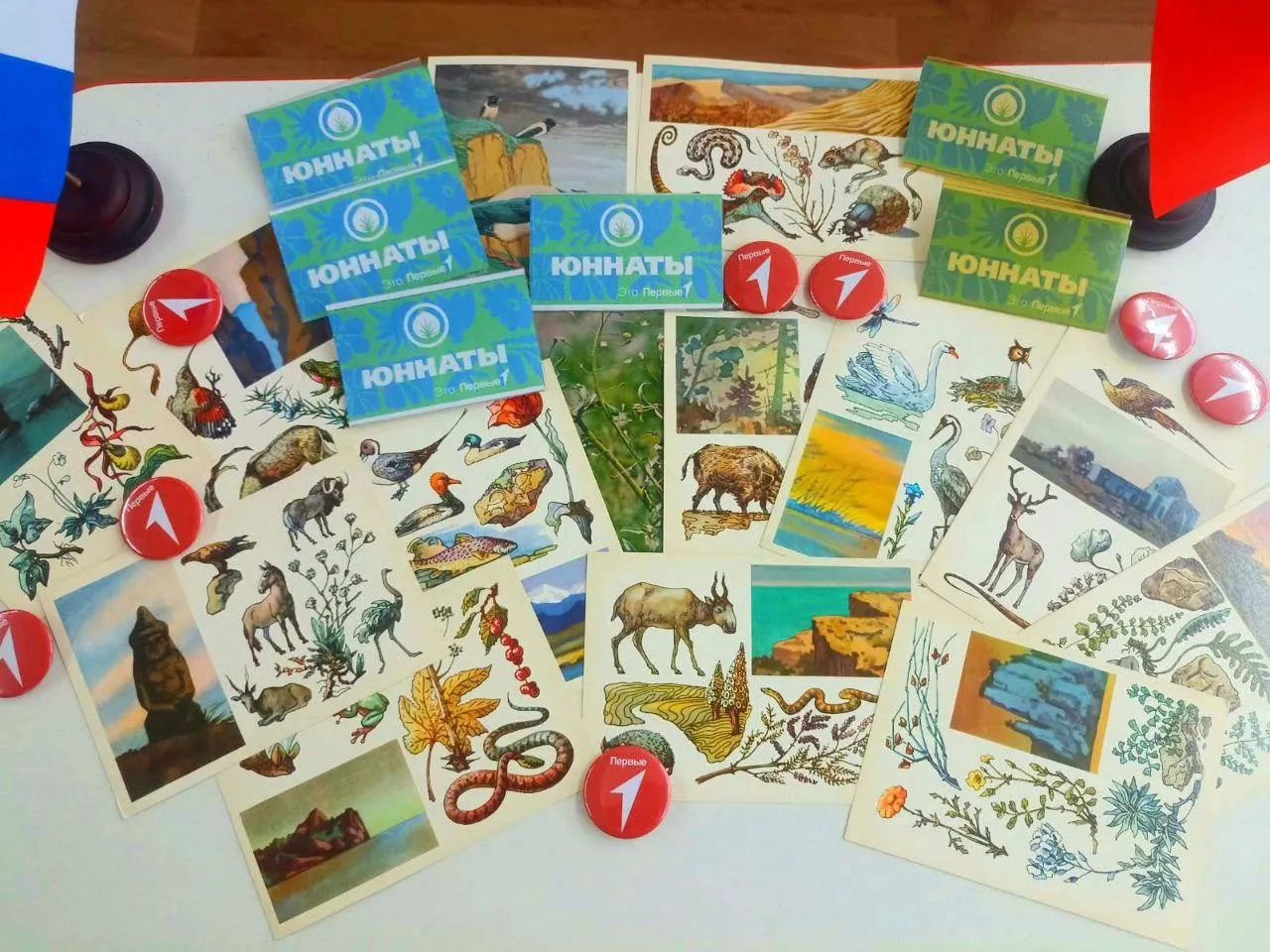 Фото: Лицей №5