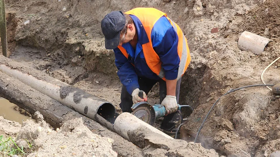 Фото: Валерия Тингаева