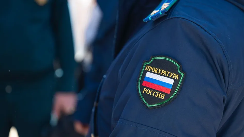 Фото: пресс-служба прокуратуры Московской области