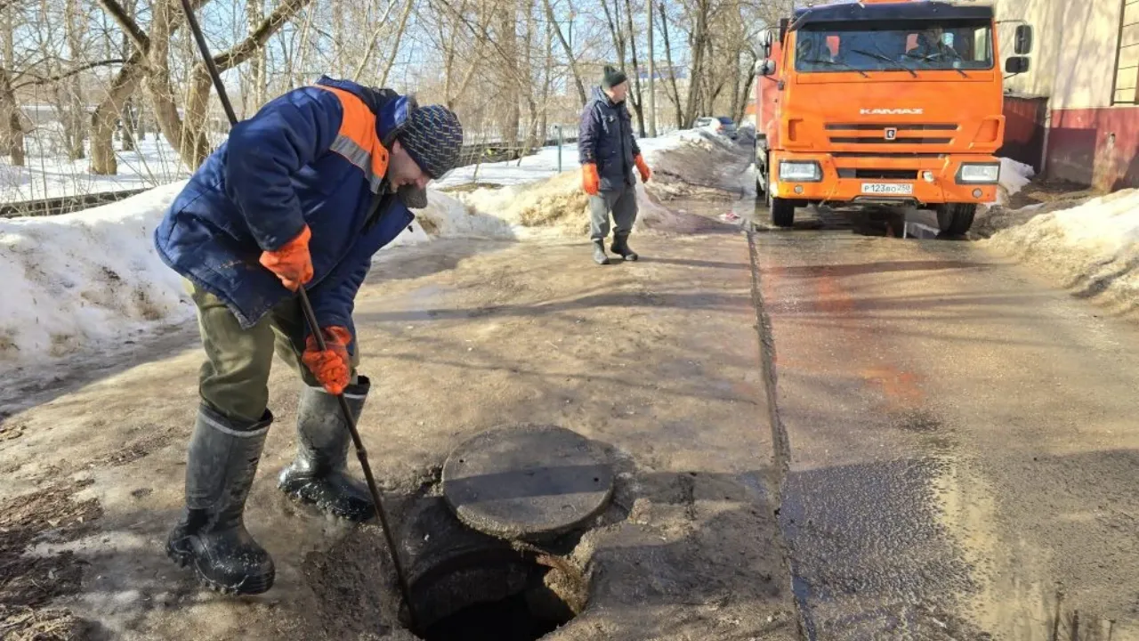 REGIONS/Яна Шаливская