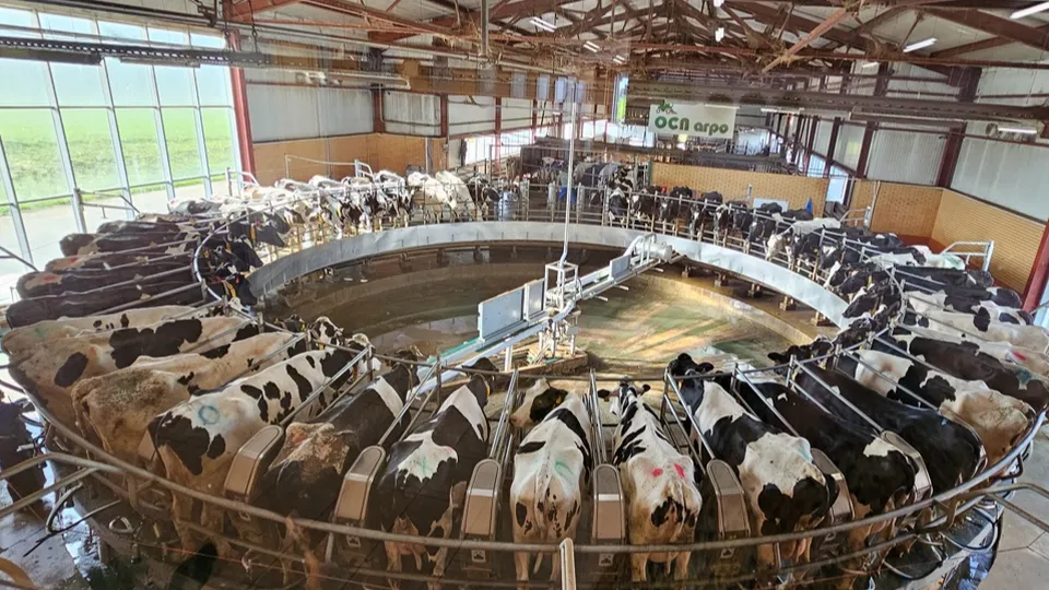 Фото: Агрохолдинг «ОСП агро»