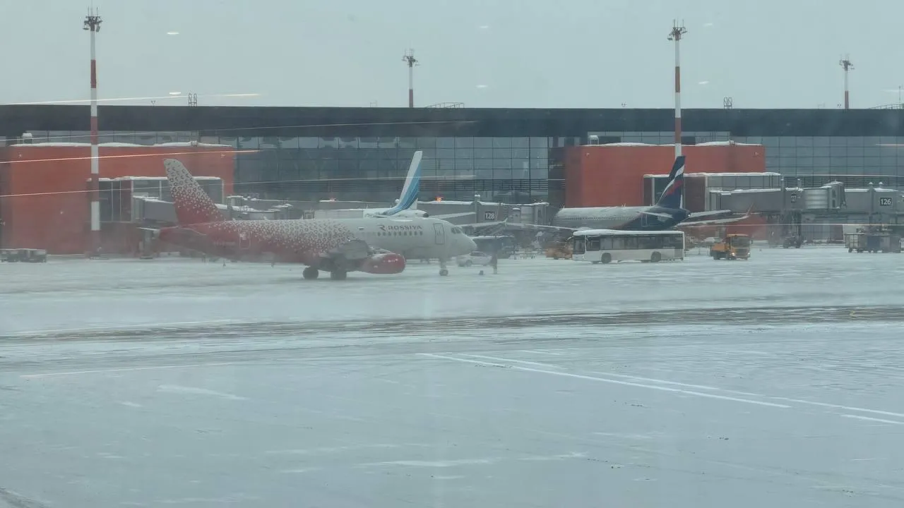 REGIONS/Андрей Савельев