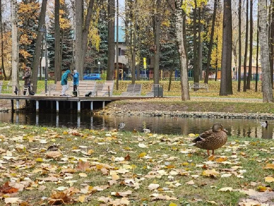 Фото: Светлана Плотникова