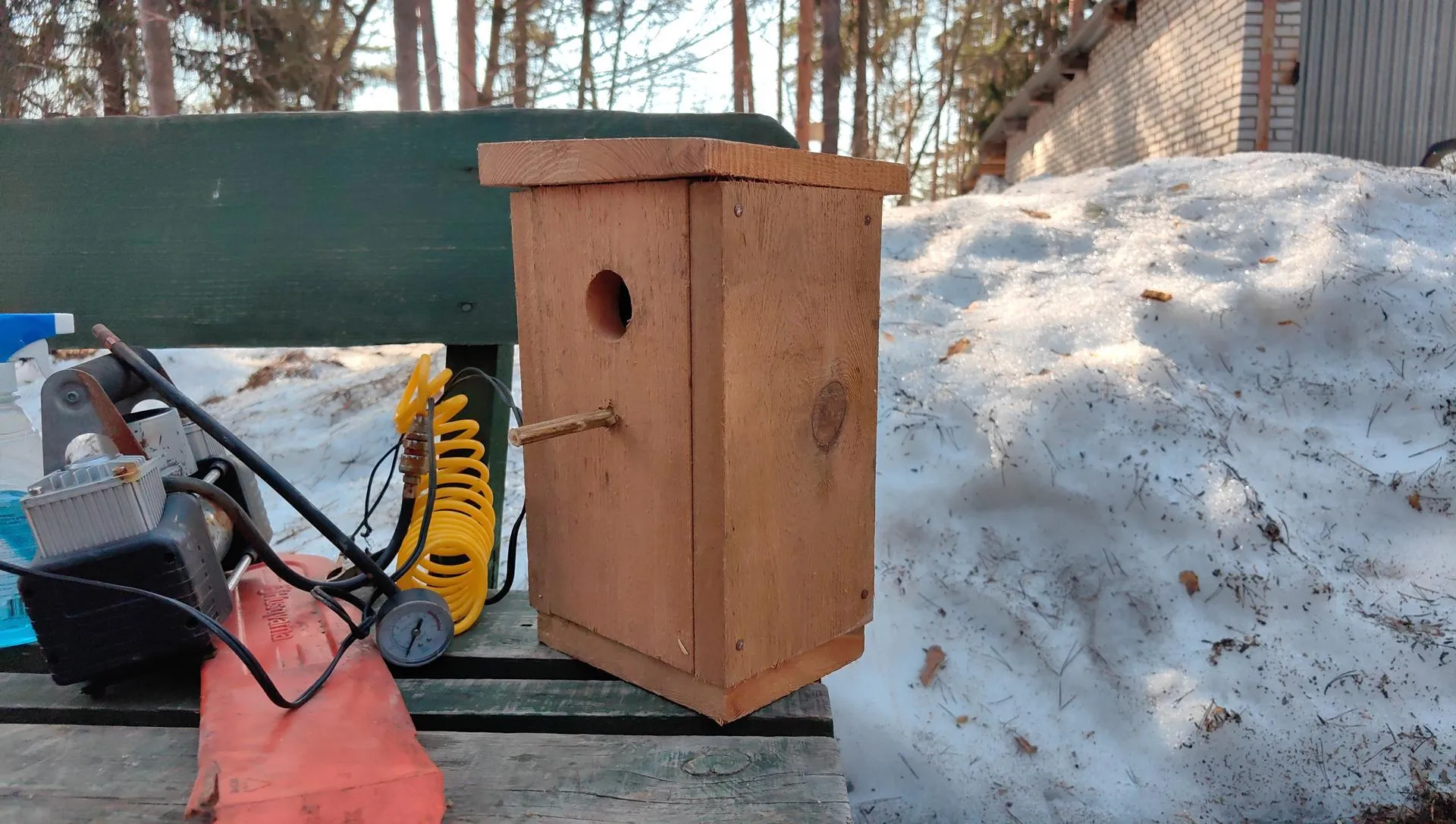 Елена Катасонова