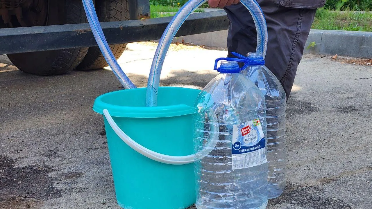 Фото: Светлана Плотникова