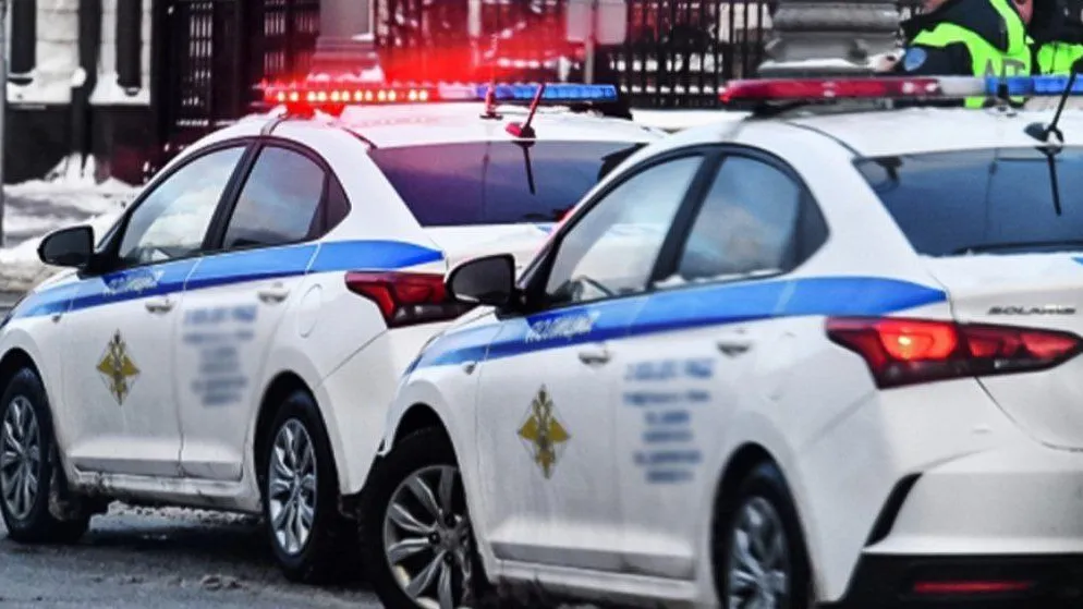 фото: Госавтоинспекция МО