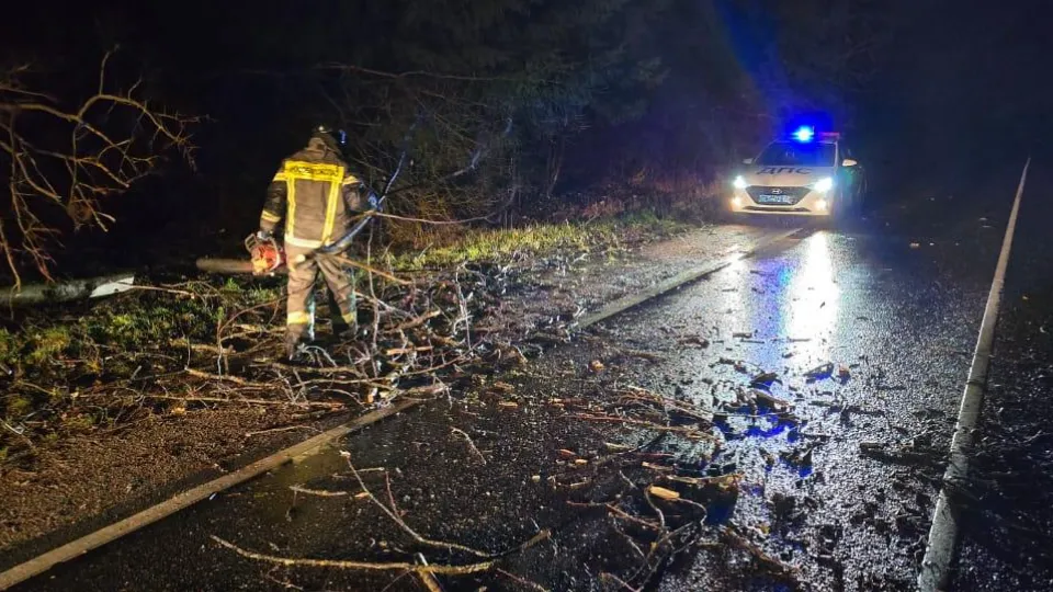 Фото: ГКУ МО «Мособлпожспас»