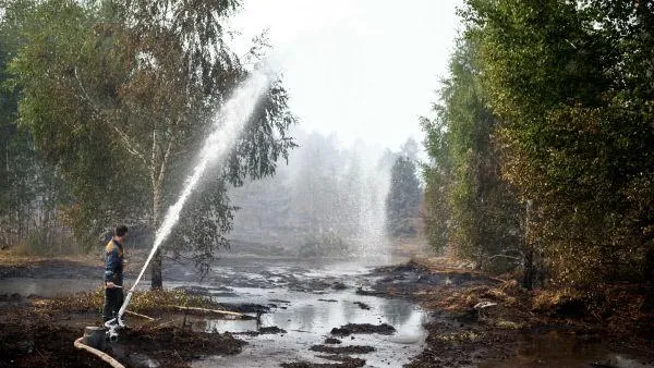 Наблюдение за системами обводнения торфяников усилили в Подмосковье