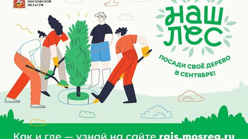 Акция «Наш лес. Посади свое дерево» пройдет в г.о. Мытищи на протяжении двух дней