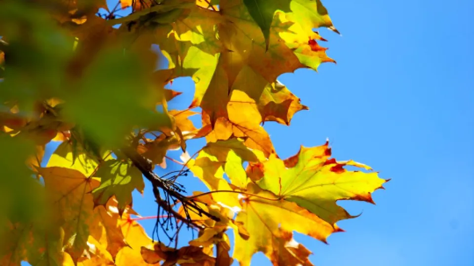 Фото: REGIONS/Владимир Ерастов