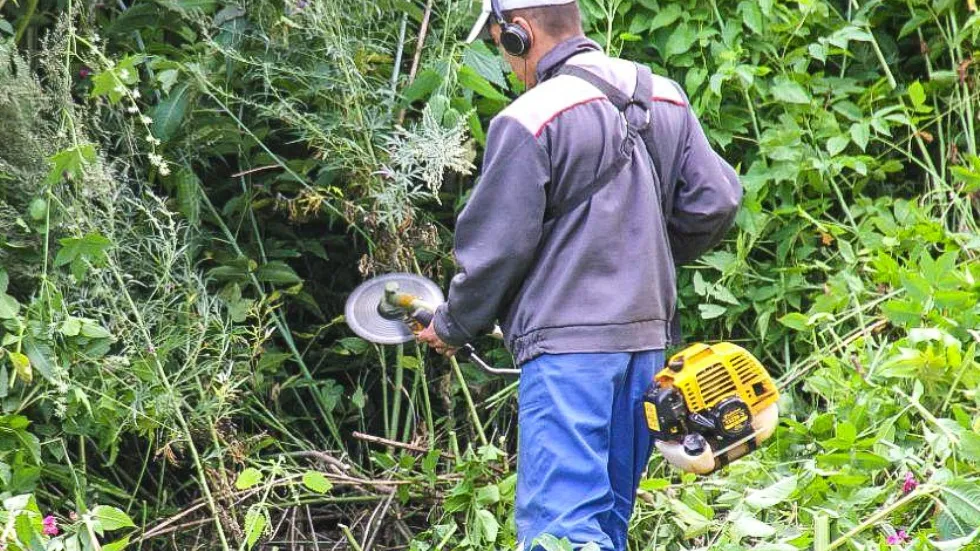 Фото: пресс-служба администрации г.о. Кашира