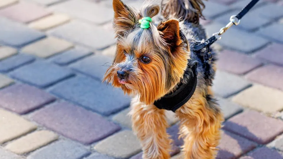 Фото: istockphoto.com