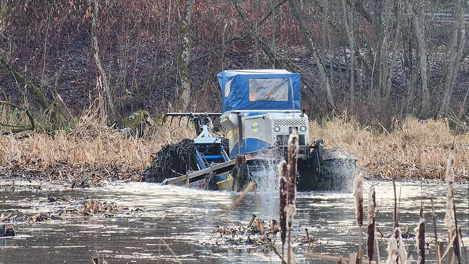 Фото: МедиаБанк Подмосковья/Роман Савельев