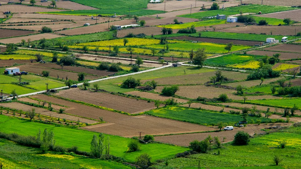 Фото: unsplash.com