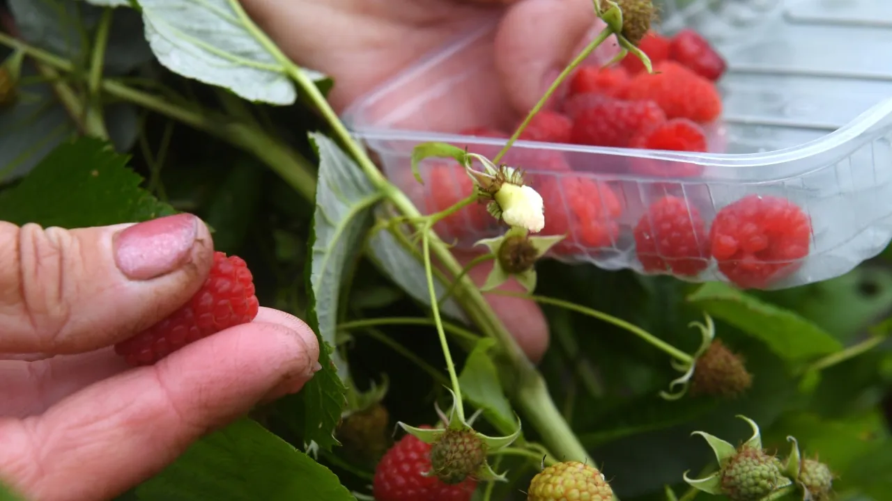 Фото: РИА Новости/Максим Богодвид