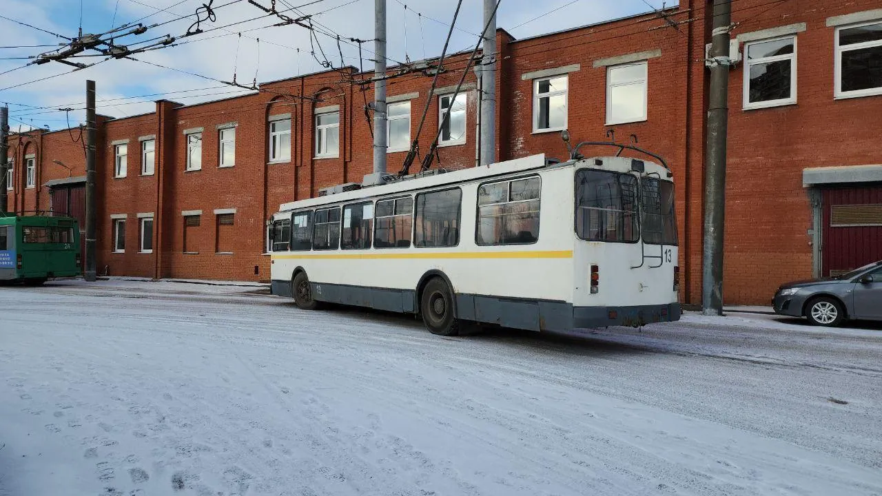 Мария Амелина