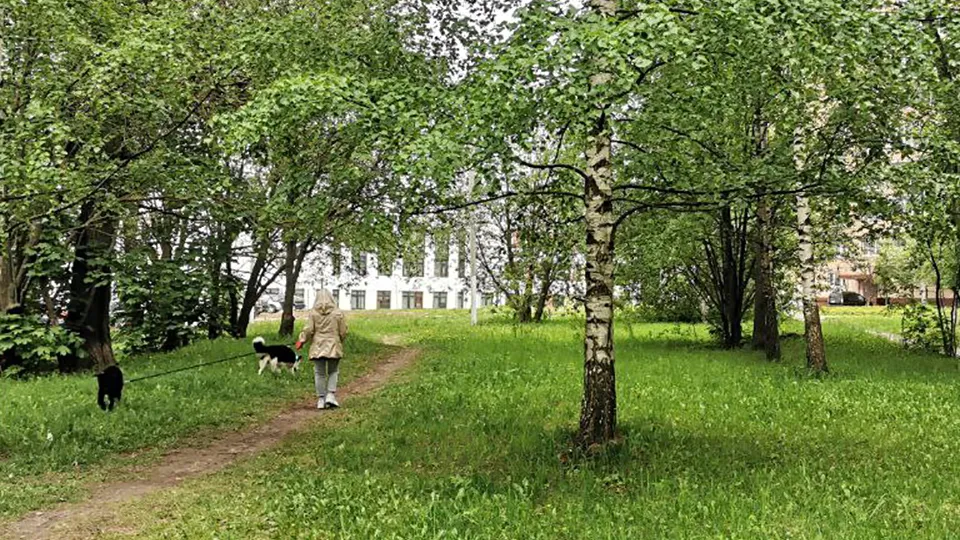 Фото: Евгений Лавряшин