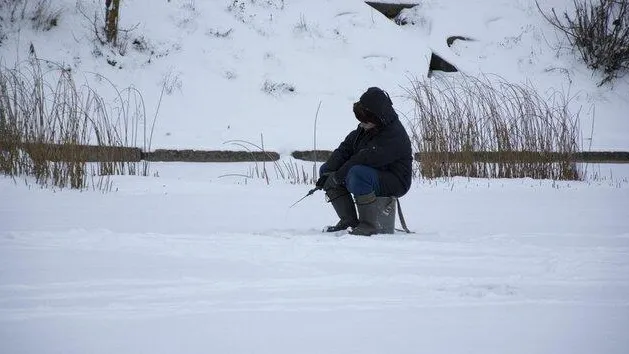 Фото: соцсети