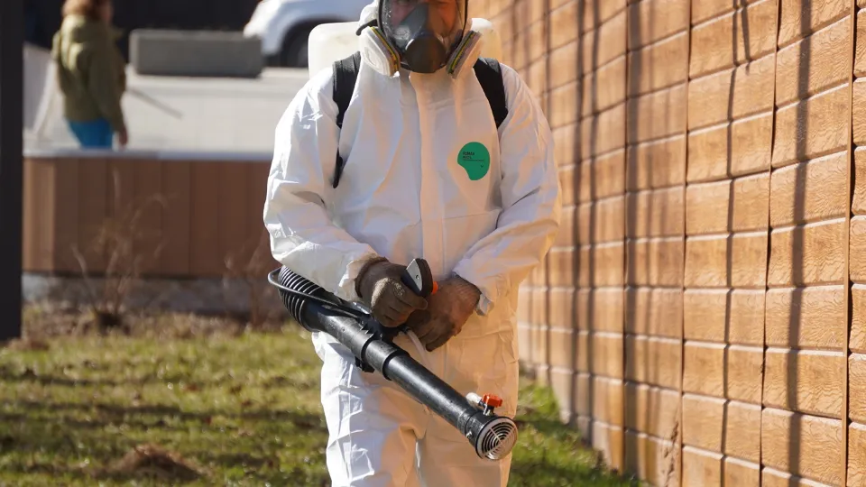 Фото: Медиабанк Подмосковья/Алена Притула