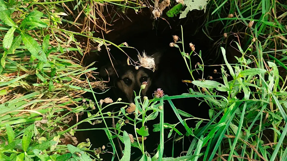 Фото: Эдуард Исхаков