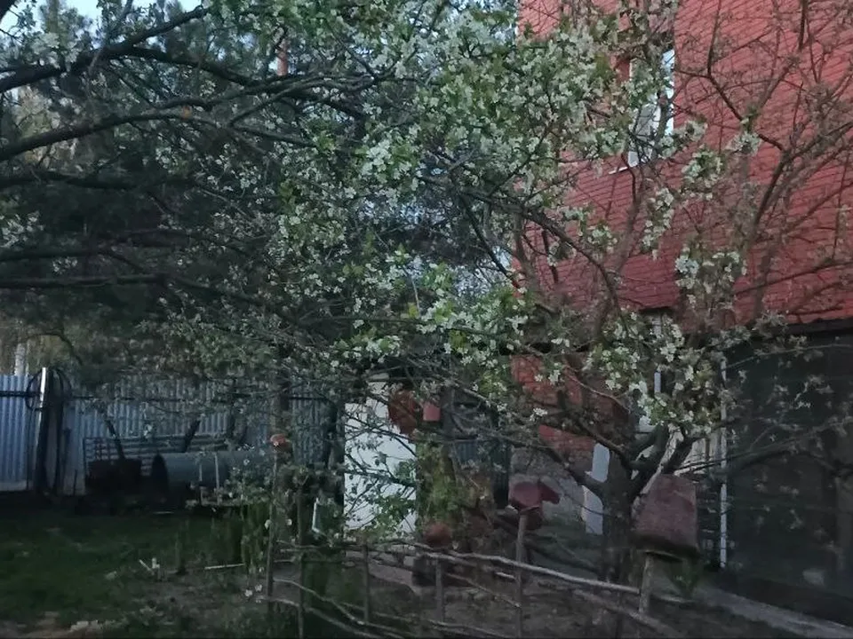 Фото: Надежда Чекалина