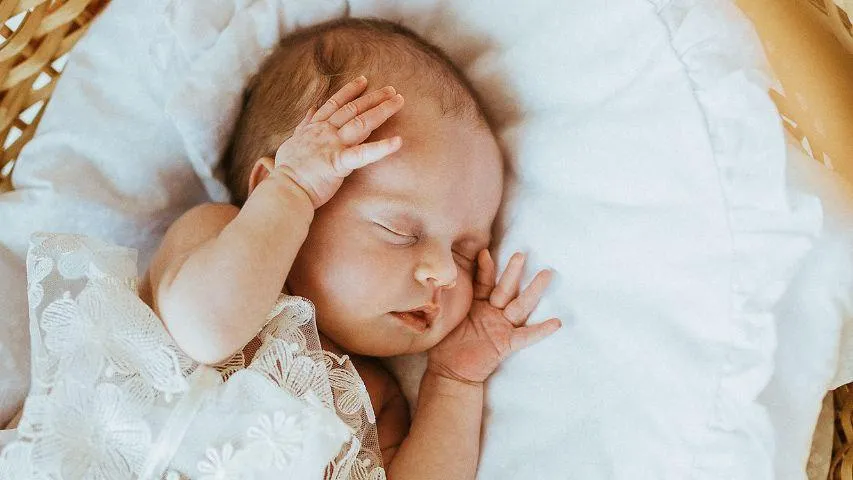 Министерство социального развития Подмосковья