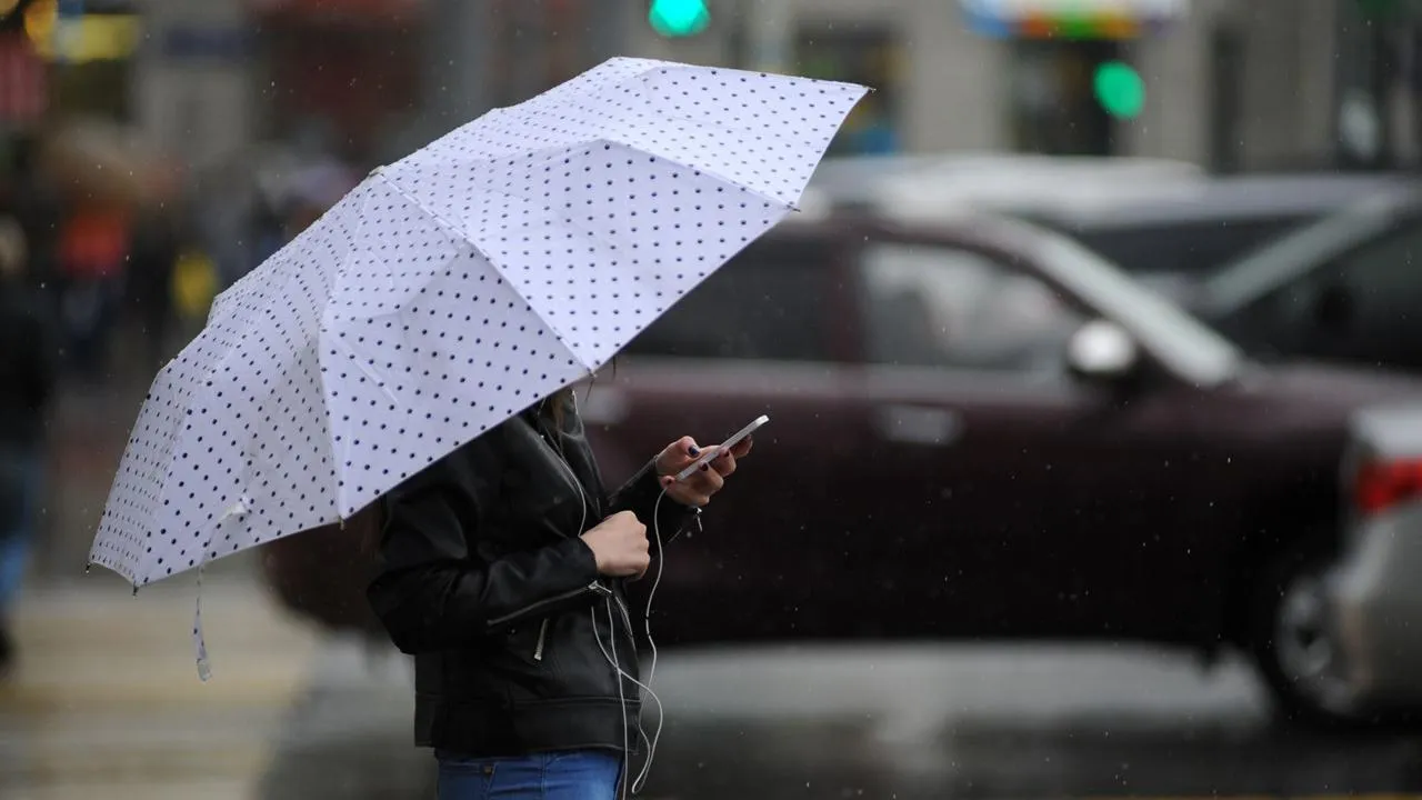 медиасток.рф