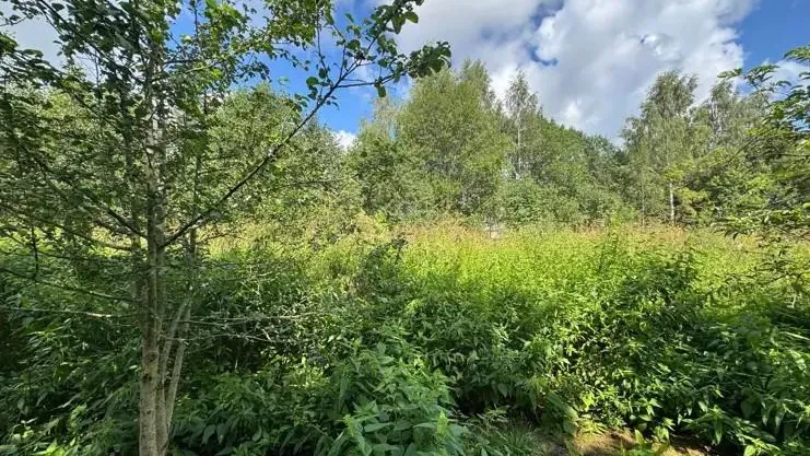 В Подмосковье на торги выставили почти 140 новых объектов