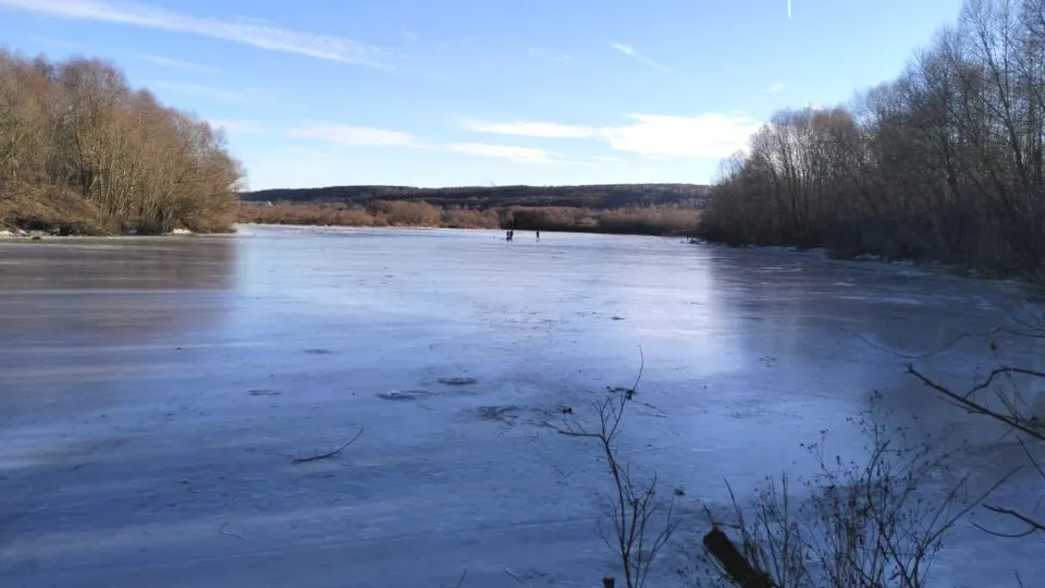 Фото: пресс-служба администрации г.о. Кашира