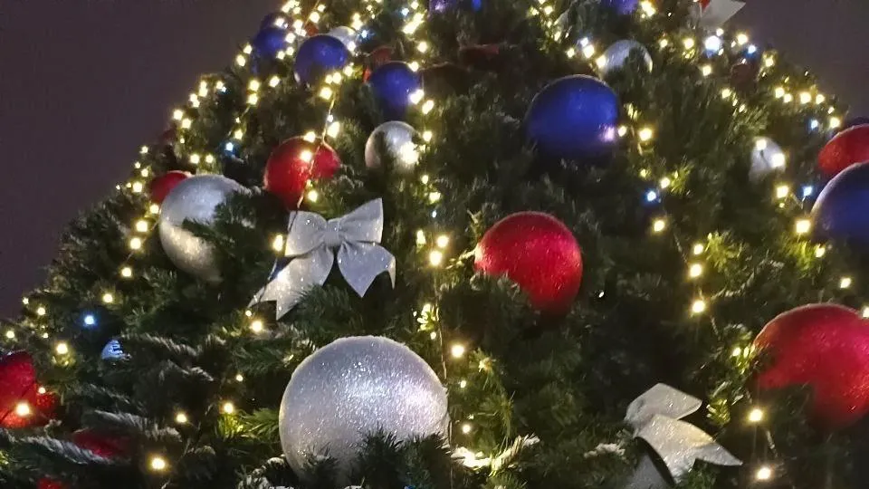 фото: соцсети