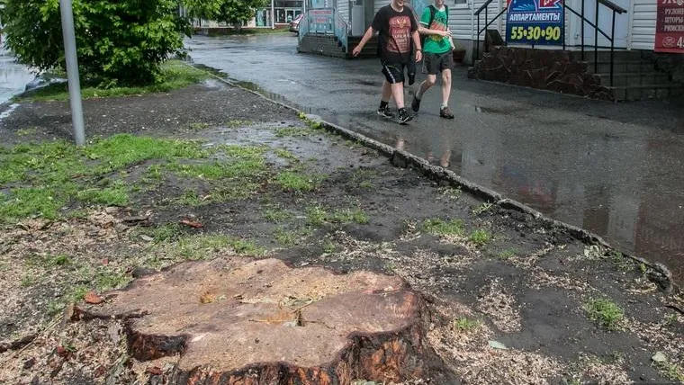 Игорь Меркулов / URA.RU