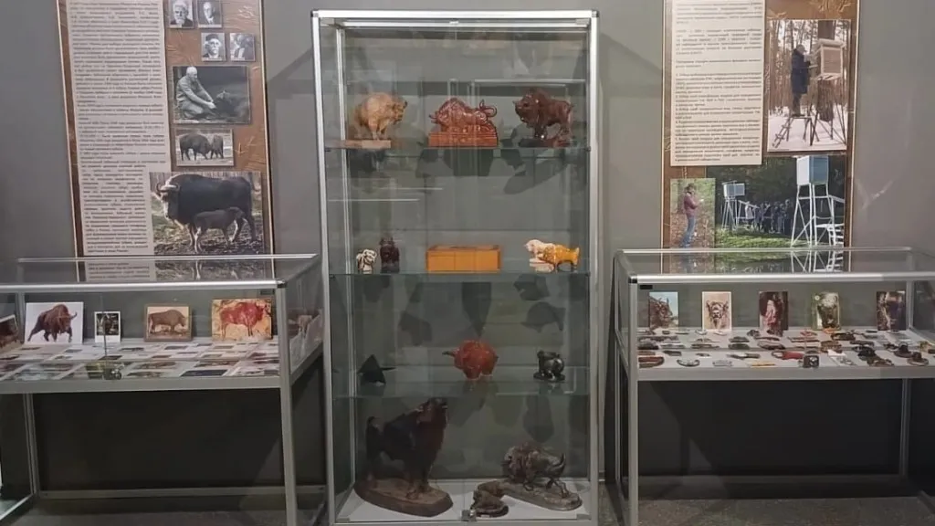 Фото: Приокско-Террасный заповедник