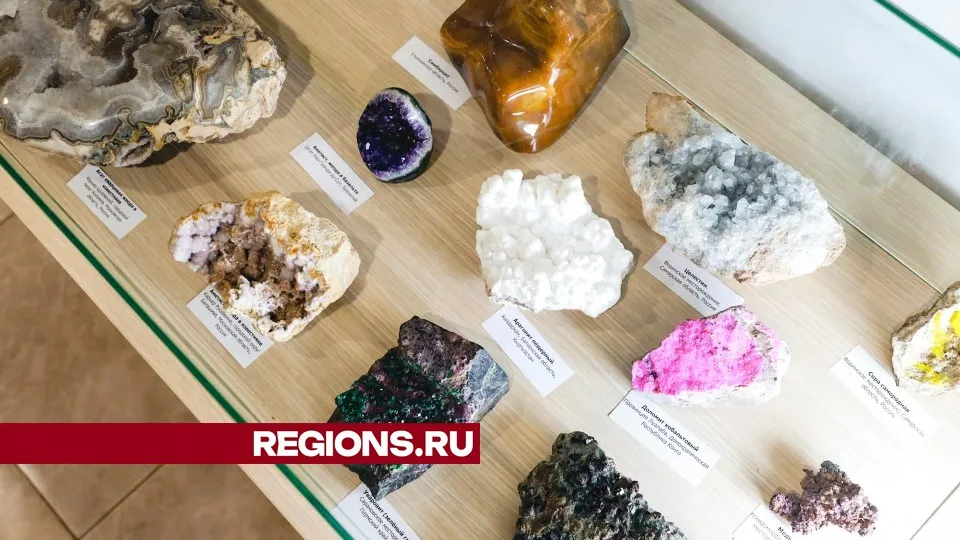 Фото: Иван Чижов