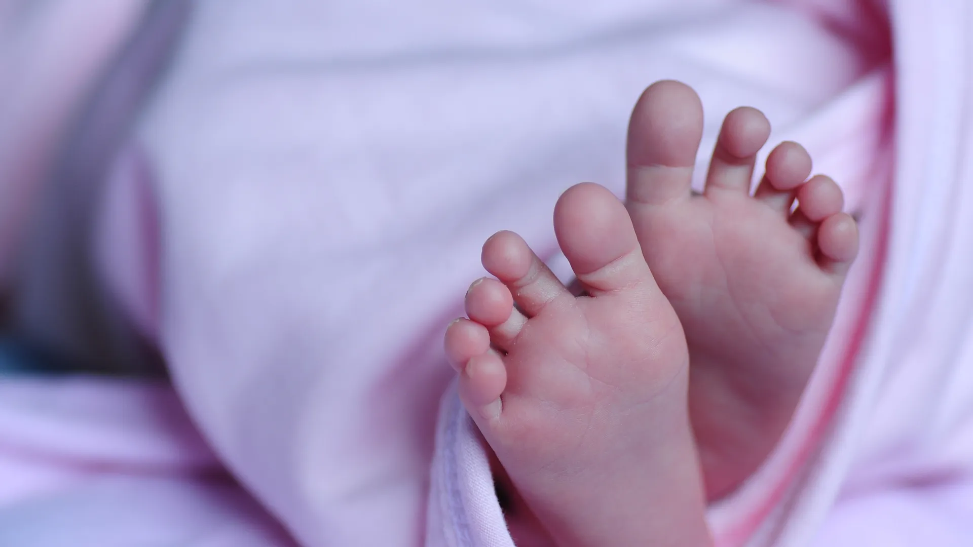 Фото: pxhere.com