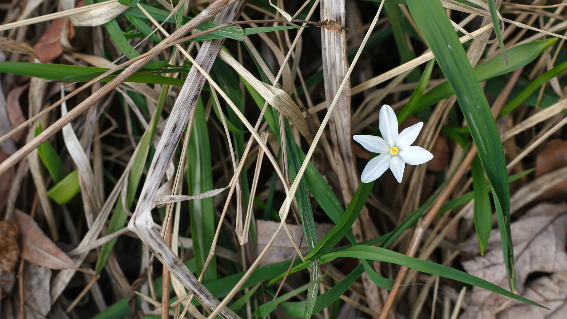 медиасток.рф