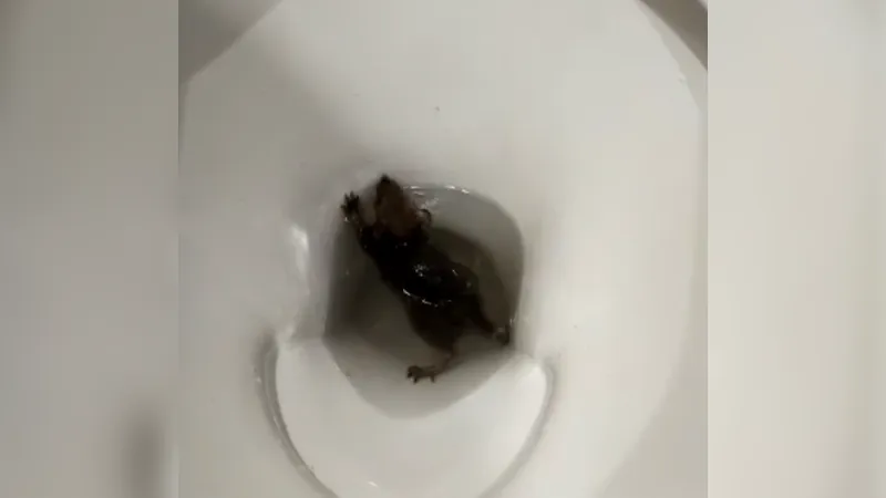 Соцсети