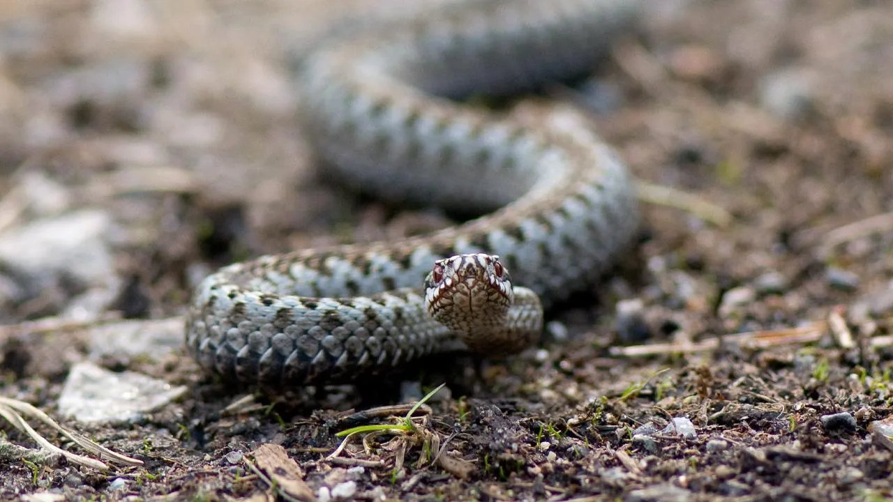 istockphoto.com/arnsteins