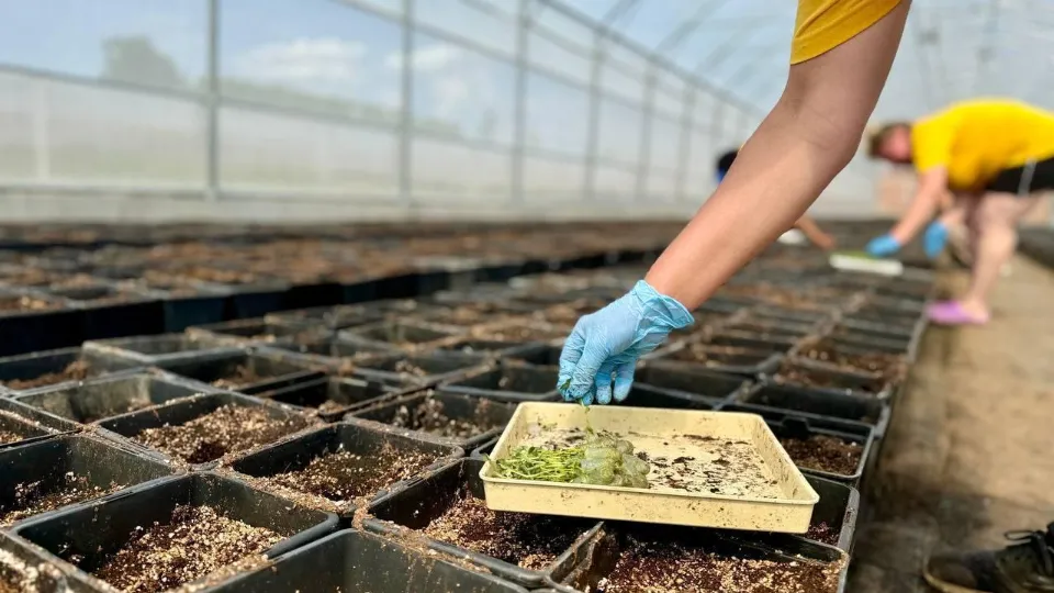 Для нас важно создавать условия, чтобы количество фермеров в регионе постепенно увеличивалось
